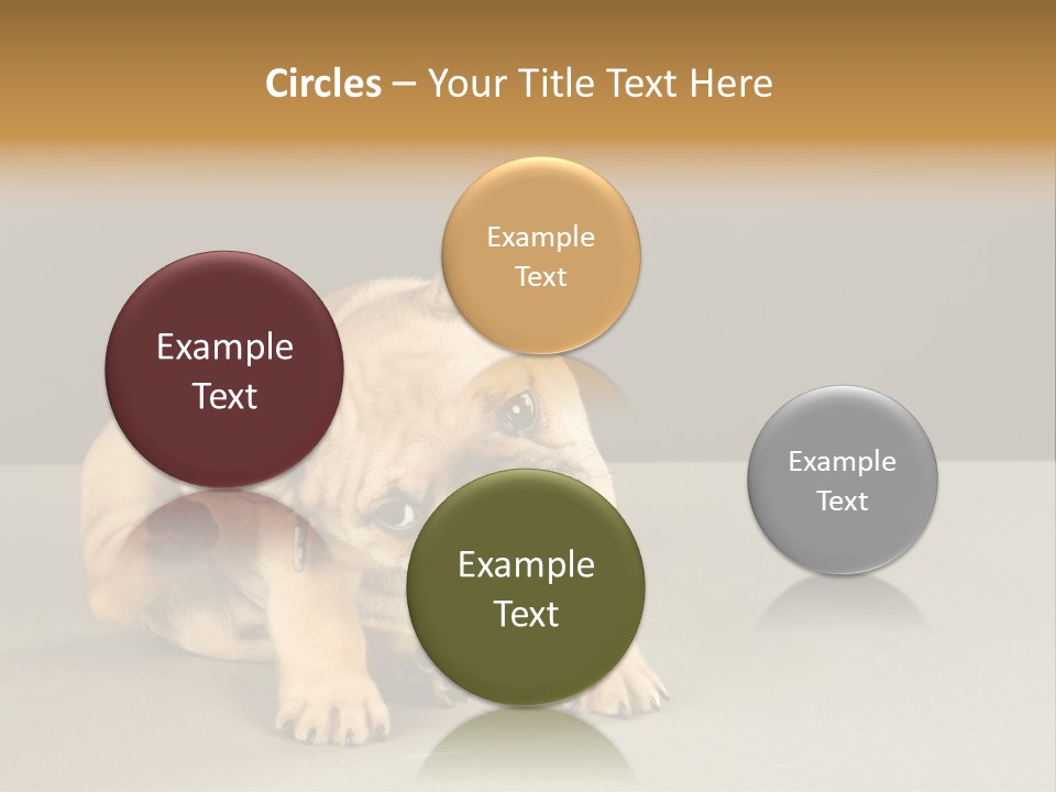 Puppy Indoor Pup PowerPoint Template