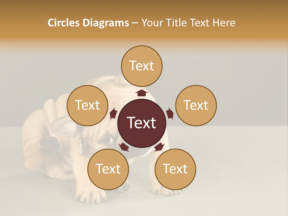 Puppy Indoor Pup PowerPoint Template