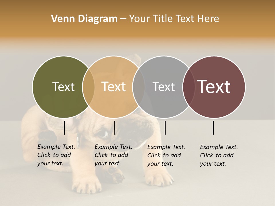 Puppy Indoor Pup PowerPoint Template