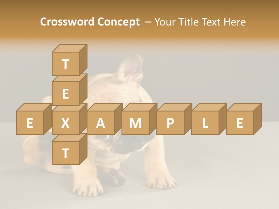 Puppy Indoor Pup PowerPoint Template