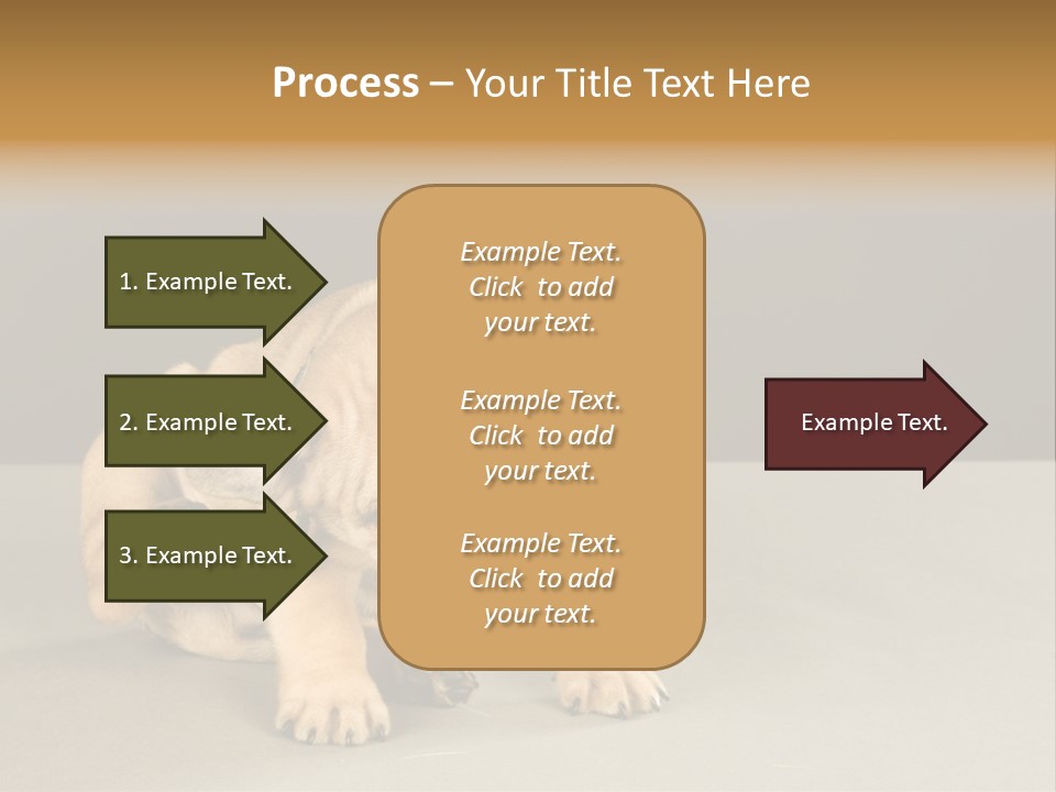 Puppy Indoor Pup PowerPoint Template