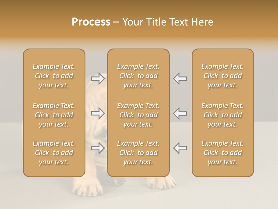 Puppy Indoor Pup PowerPoint Template