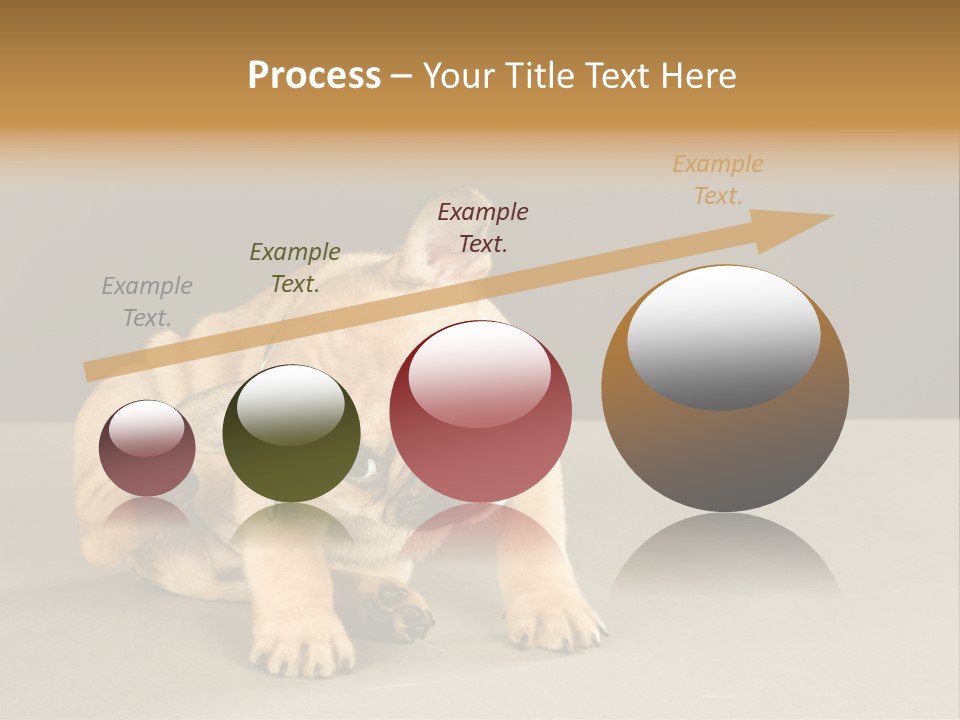 Puppy Indoor Pup PowerPoint Template