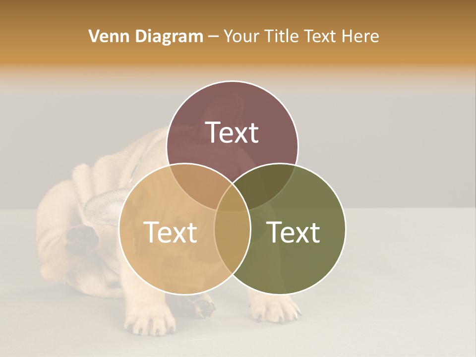 Puppy Indoor Pup PowerPoint Template