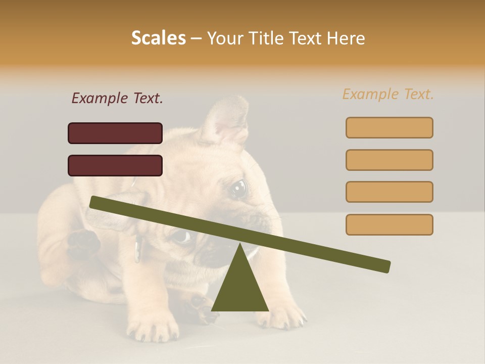Puppy Indoor Pup PowerPoint Template