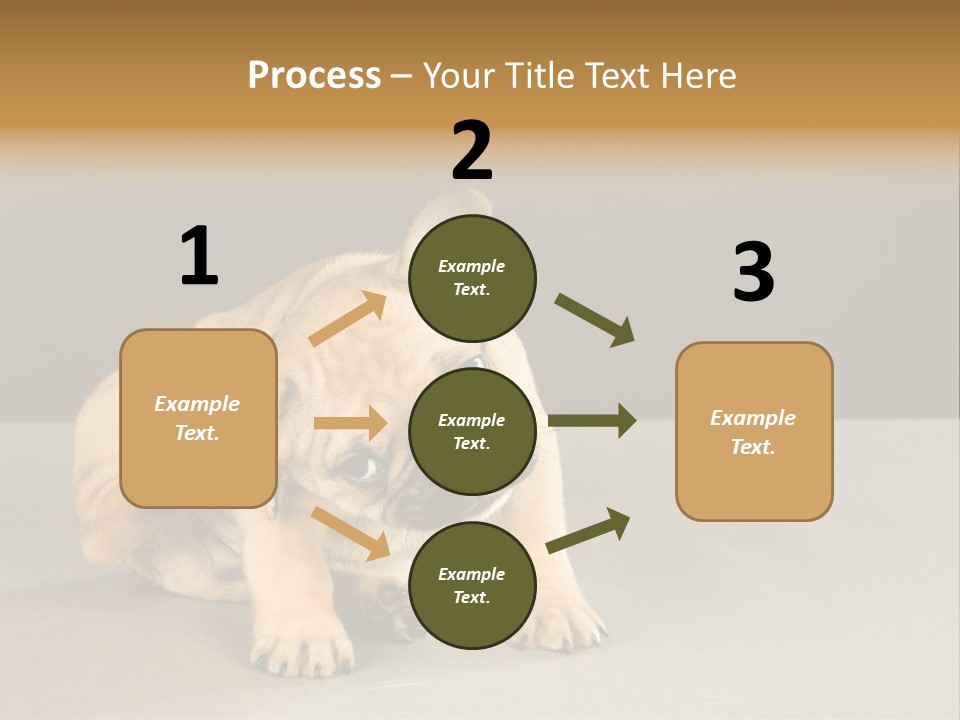 Puppy Indoor Pup PowerPoint Template