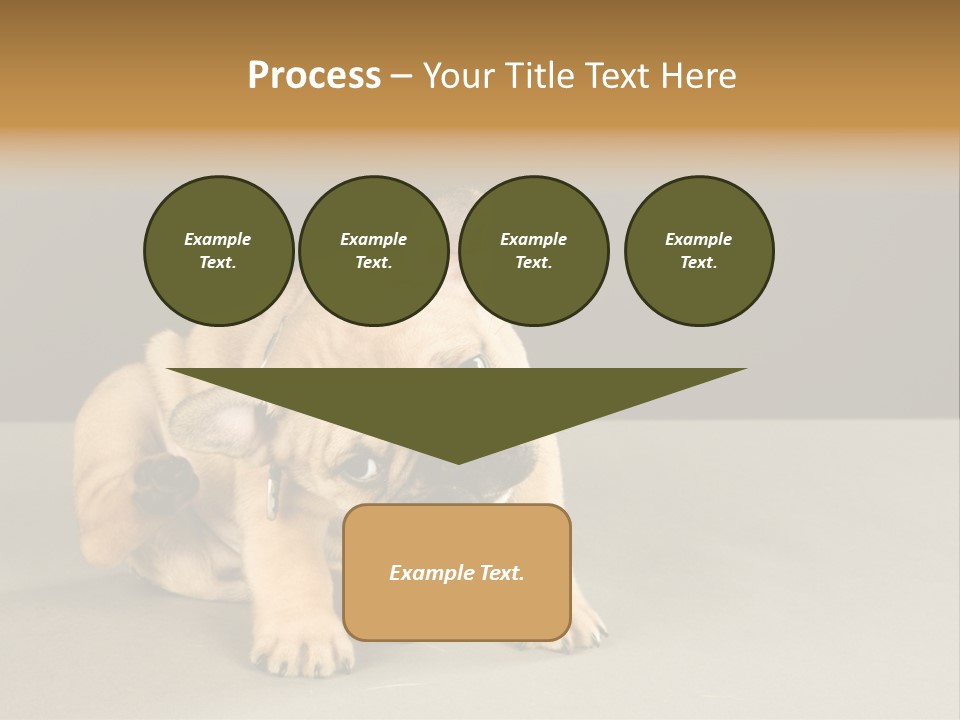Puppy Indoor Pup PowerPoint Template