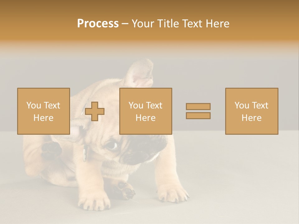 Puppy Indoor Pup PowerPoint Template