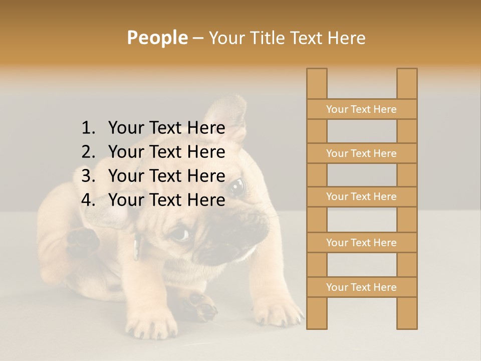 Puppy Indoor Pup PowerPoint Template