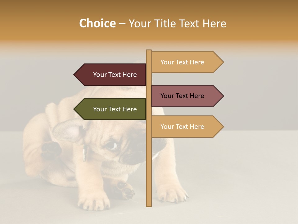 Puppy Indoor Pup PowerPoint Template