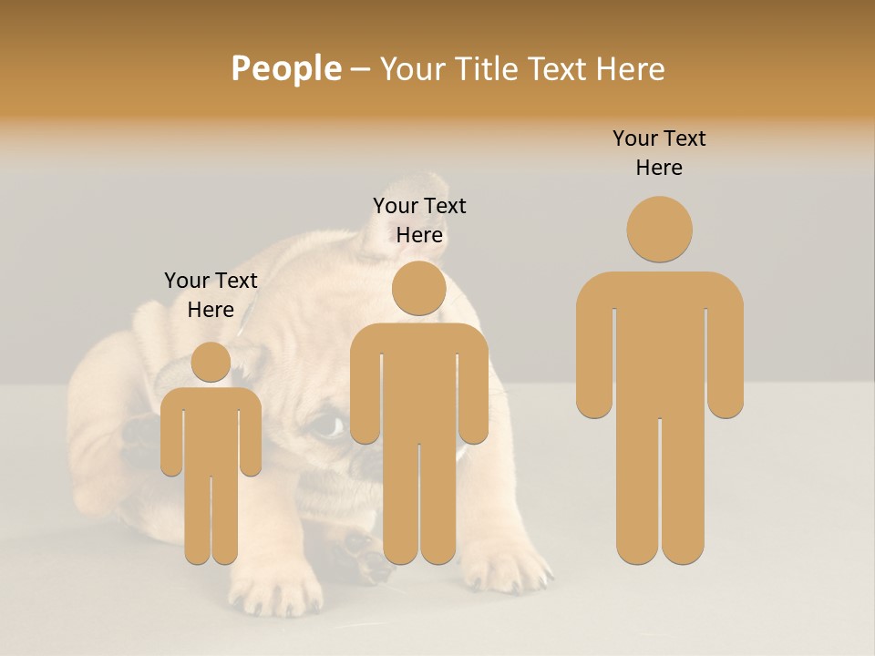 Puppy Indoor Pup PowerPoint Template