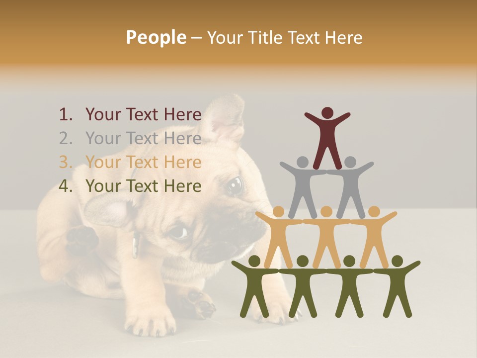Puppy Indoor Pup PowerPoint Template
