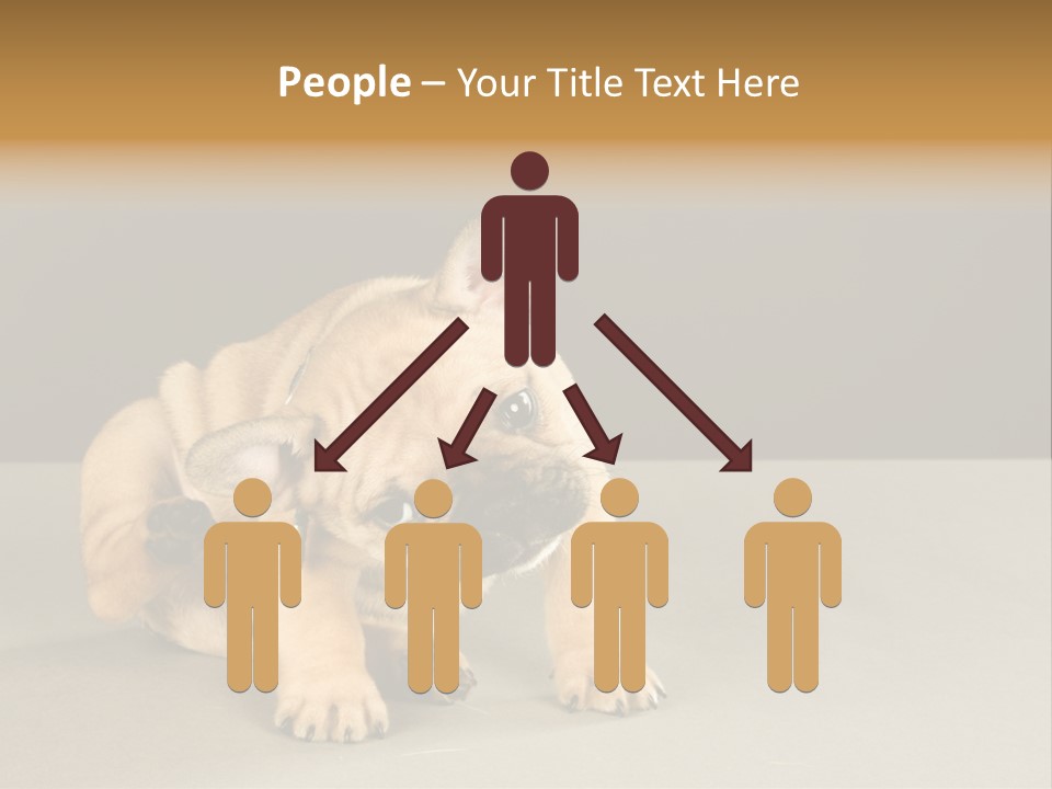 Puppy Indoor Pup PowerPoint Template