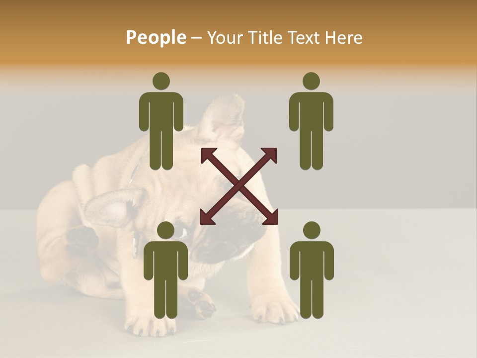 Puppy Indoor Pup PowerPoint Template