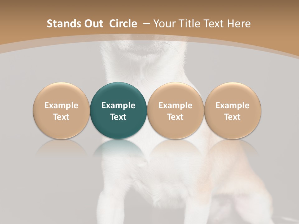 People Background Closed PowerPoint Template