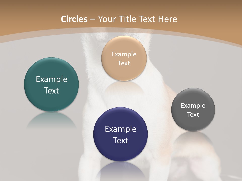 People Background Closed PowerPoint Template