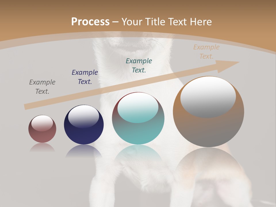 People Background Closed PowerPoint Template