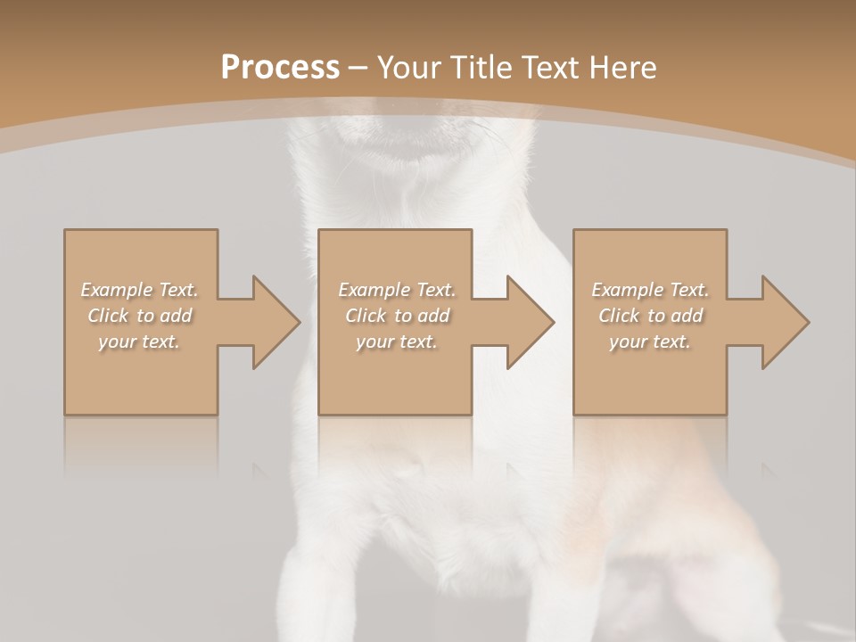 People Background Closed PowerPoint Template
