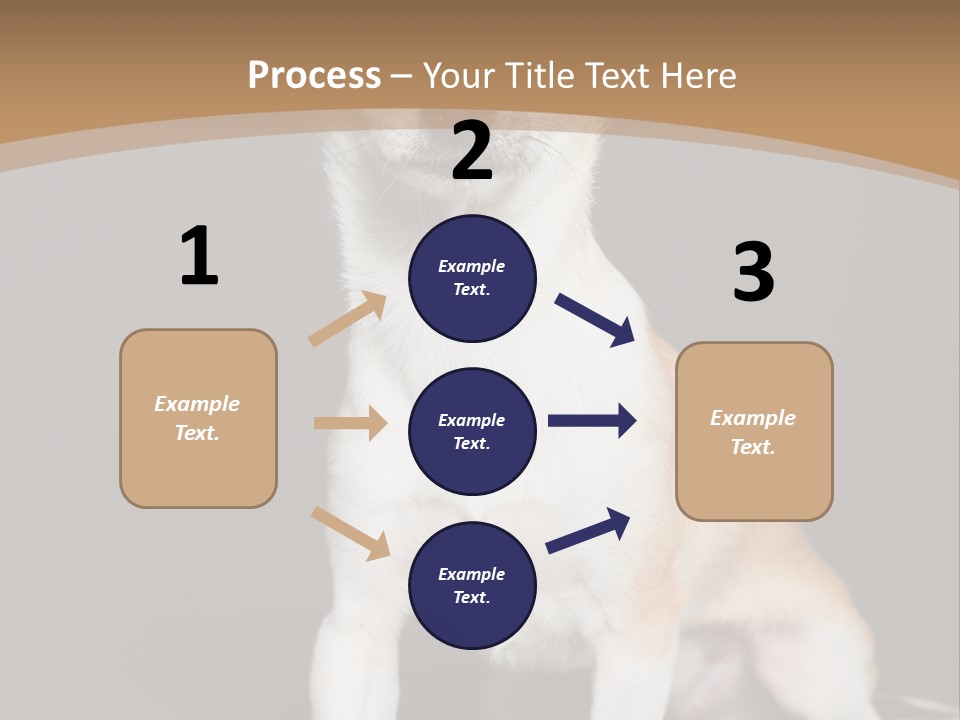 People Background Closed PowerPoint Template