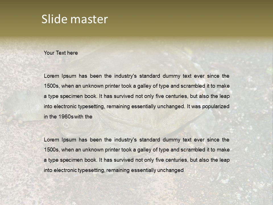 A Turtle Laying On The Ground With The Words Name Of Presentation PowerPoint Template