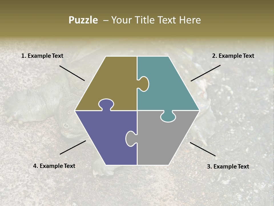 A Turtle Laying On The Ground With The Words Name Of Presentation PowerPoint Template