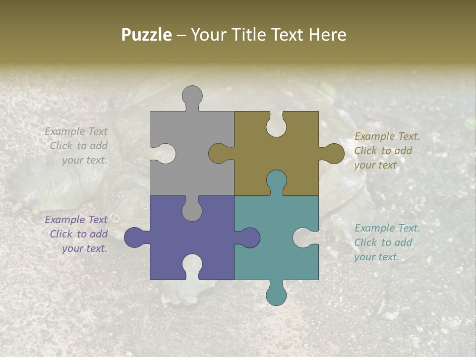 A Turtle Laying On The Ground With The Words Name Of Presentation PowerPoint Template