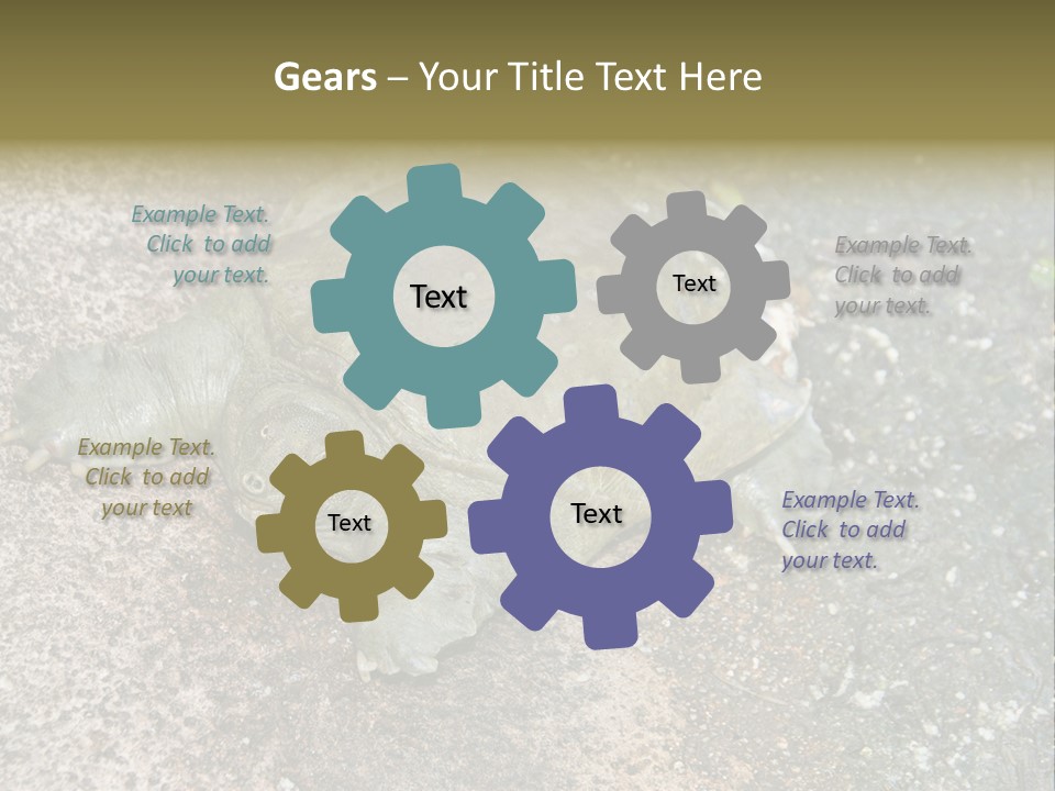 A Turtle Laying On The Ground With The Words Name Of Presentation PowerPoint Template