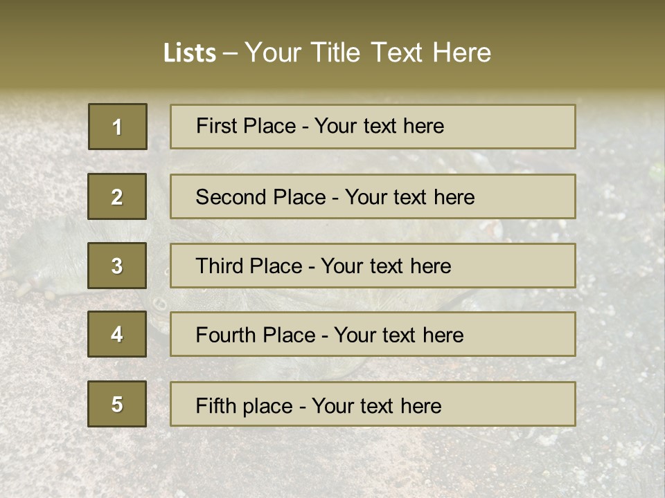 A Turtle Laying On The Ground With The Words Name Of Presentation PowerPoint Template