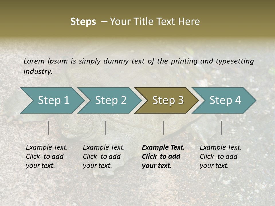 A Turtle Laying On The Ground With The Words Name Of Presentation PowerPoint Template