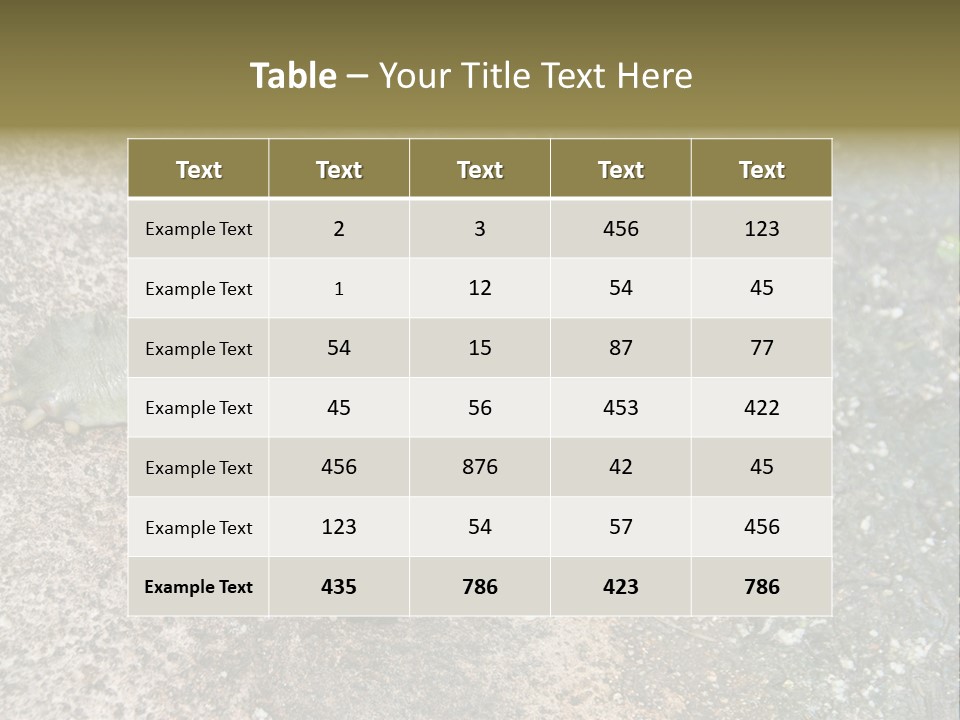 A Turtle Laying On The Ground With The Words Name Of Presentation PowerPoint Template
