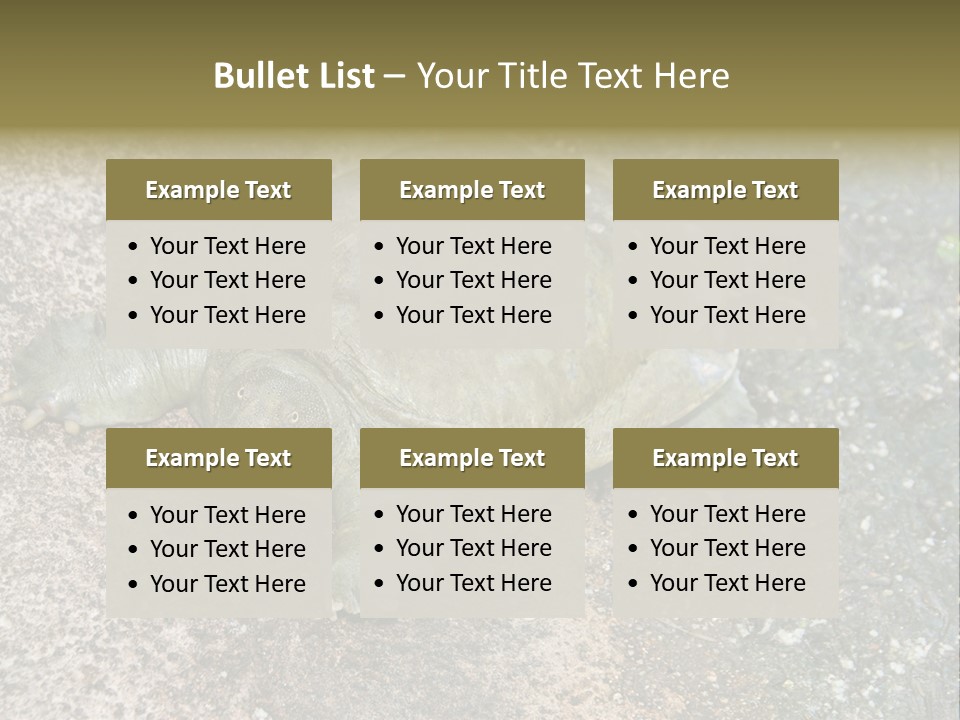 A Turtle Laying On The Ground With The Words Name Of Presentation PowerPoint Template