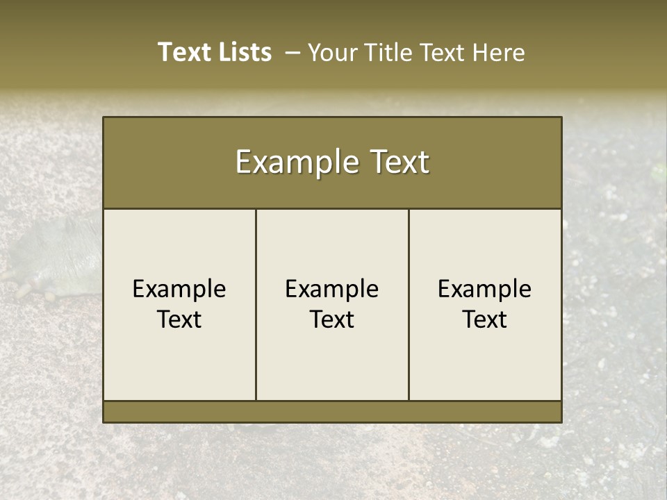 A Turtle Laying On The Ground With The Words Name Of Presentation PowerPoint Template