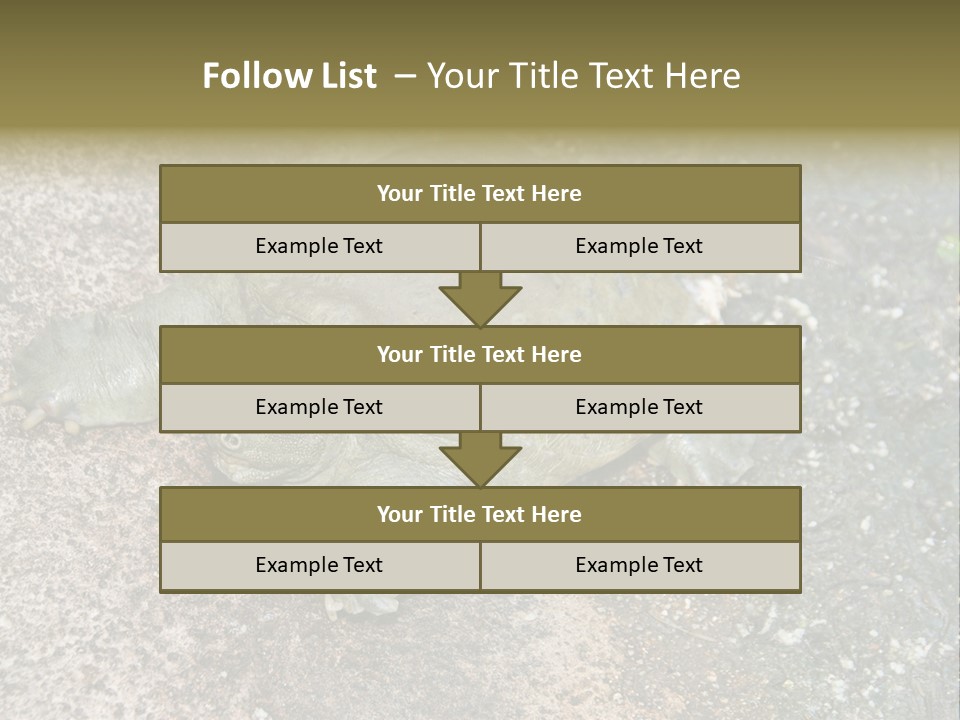 A Turtle Laying On The Ground With The Words Name Of Presentation PowerPoint Template