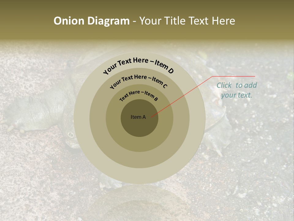A Turtle Laying On The Ground With The Words Name Of Presentation PowerPoint Template