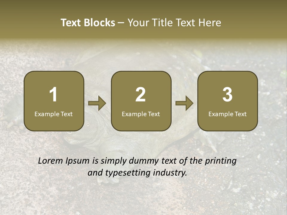A Turtle Laying On The Ground With The Words Name Of Presentation PowerPoint Template