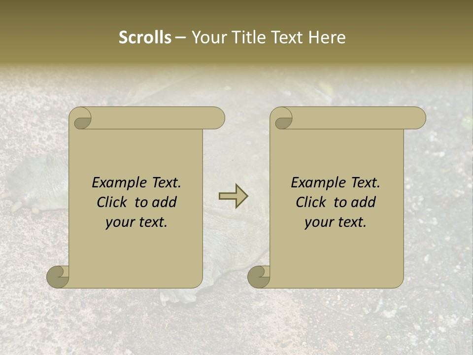 A Turtle Laying On The Ground With The Words Name Of Presentation PowerPoint Template