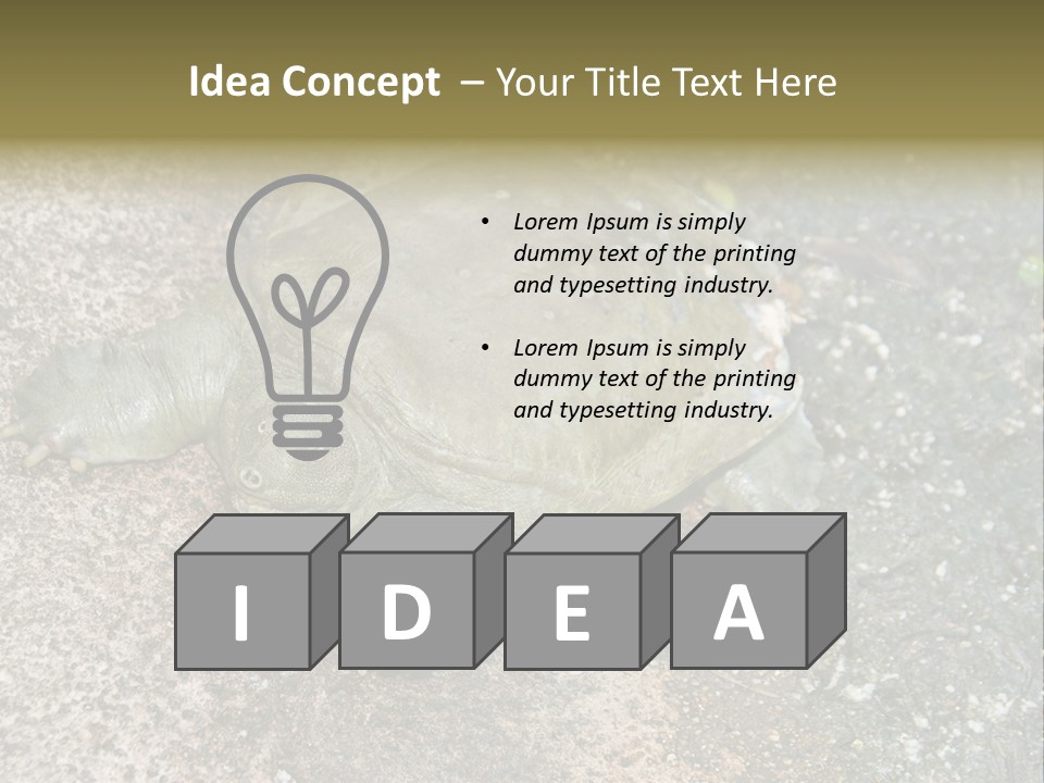 A Turtle Laying On The Ground With The Words Name Of Presentation PowerPoint Template