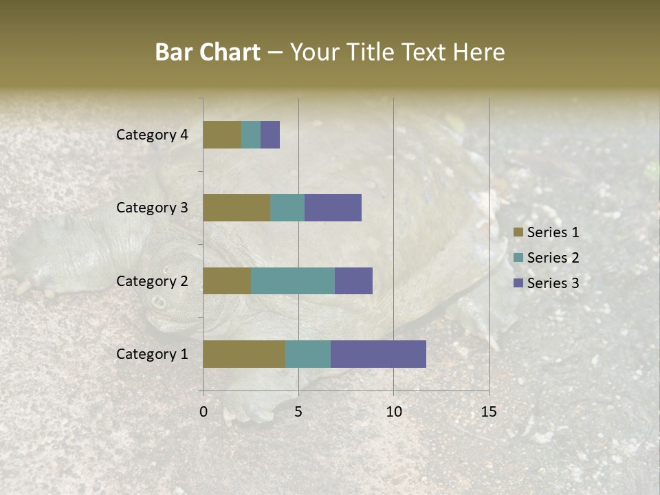 A Turtle Laying On The Ground With The Words Name Of Presentation PowerPoint Template