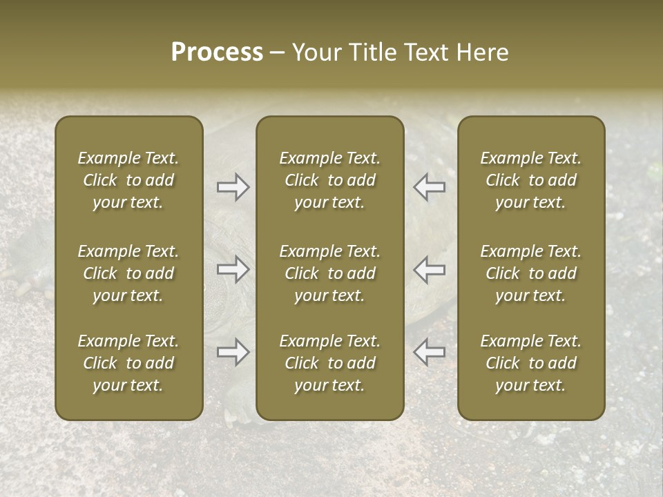 A Turtle Laying On The Ground With The Words Name Of Presentation PowerPoint Template