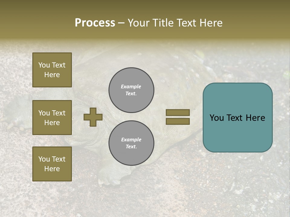 A Turtle Laying On The Ground With The Words Name Of Presentation PowerPoint Template