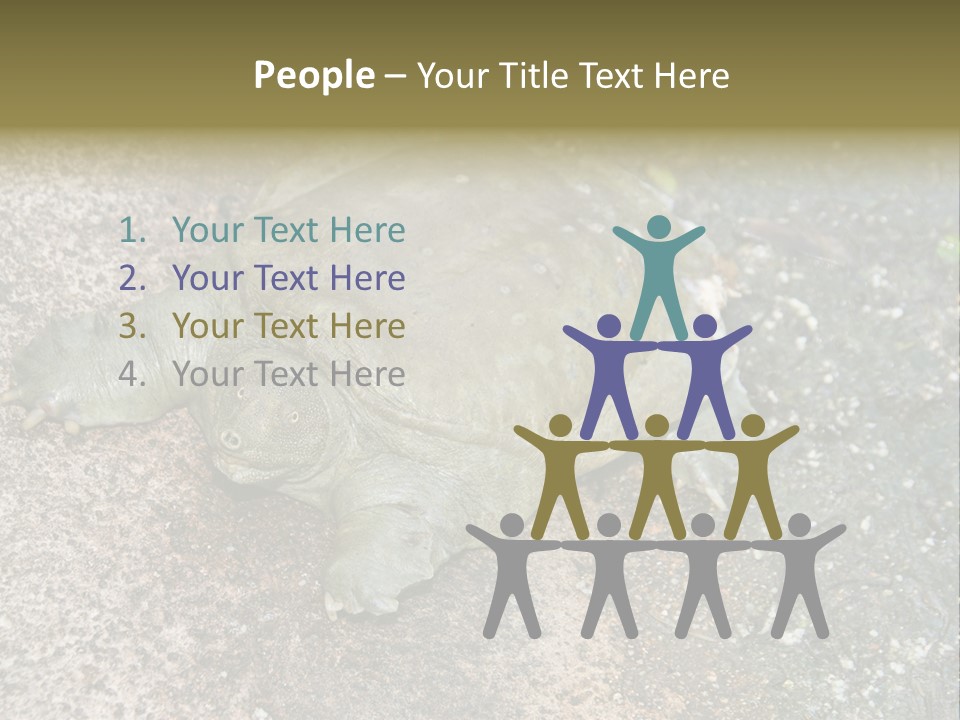 A Turtle Laying On The Ground With The Words Name Of Presentation PowerPoint Template