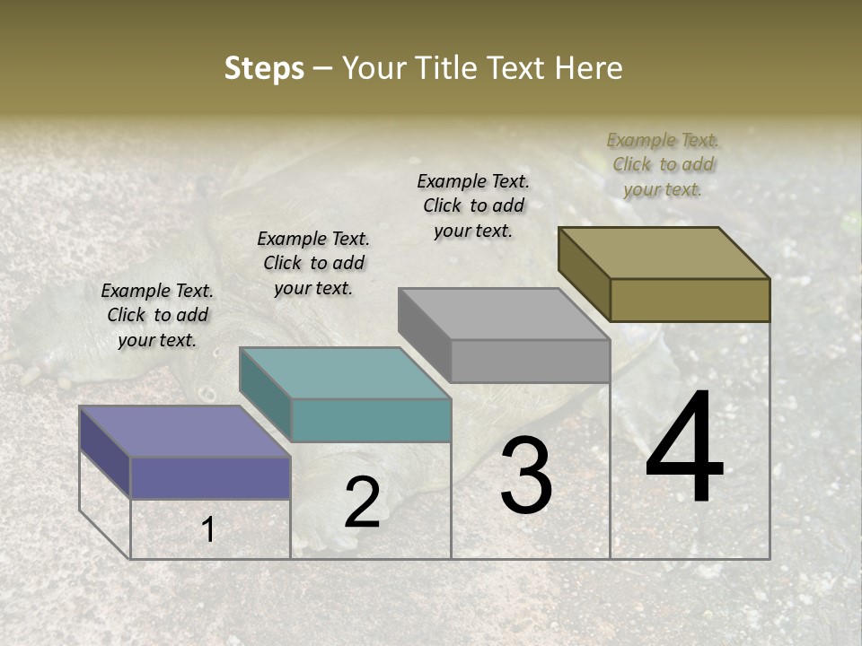 A Turtle Laying On The Ground With The Words Name Of Presentation PowerPoint Template