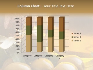 Mediterranean Chamomile Spain PowerPoint Template