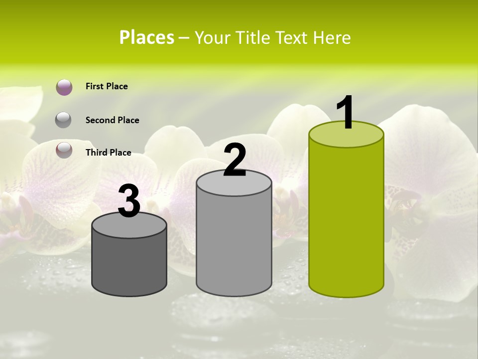 Stone Meditation Petal PowerPoint Template