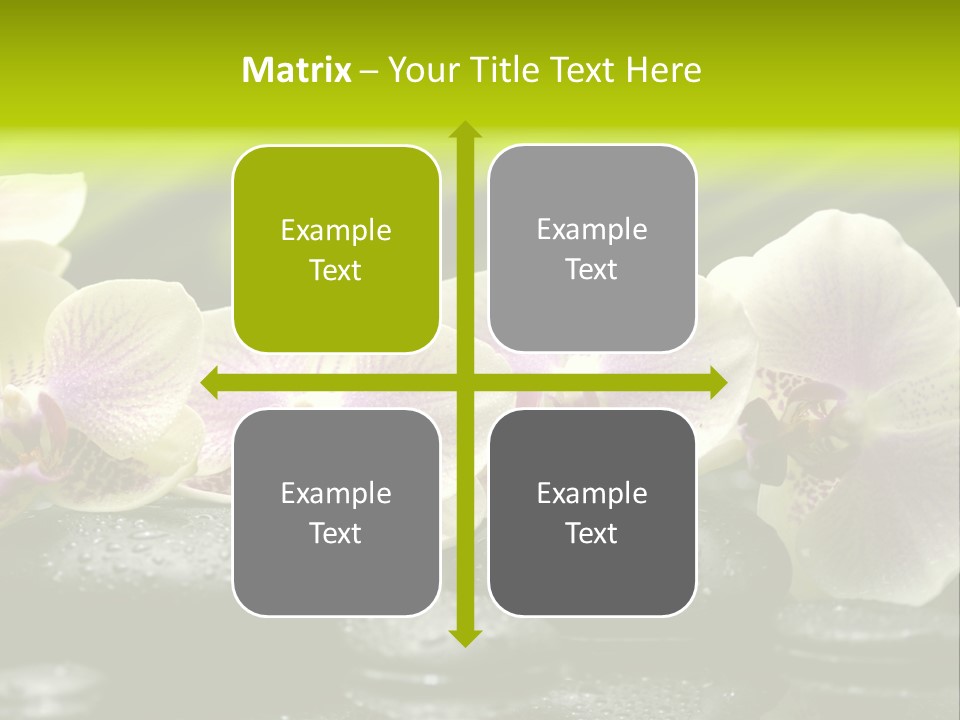 Stone Meditation Petal PowerPoint Template