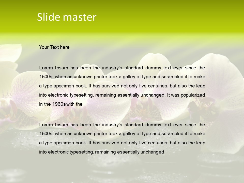Stone Meditation Petal PowerPoint Template