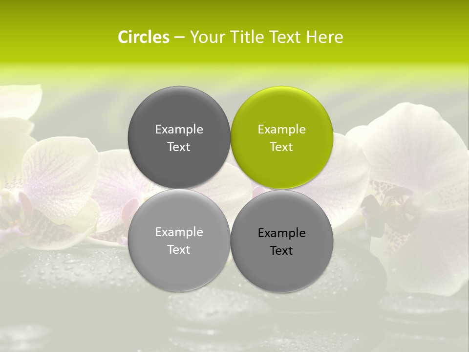 Stone Meditation Petal PowerPoint Template