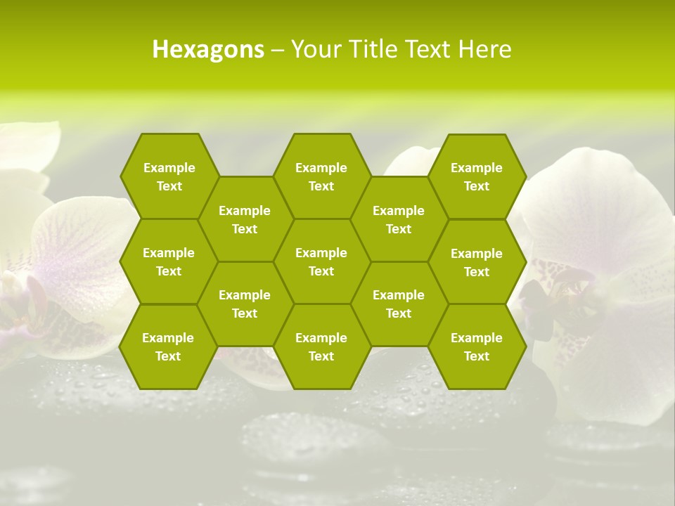 Stone Meditation Petal PowerPoint Template