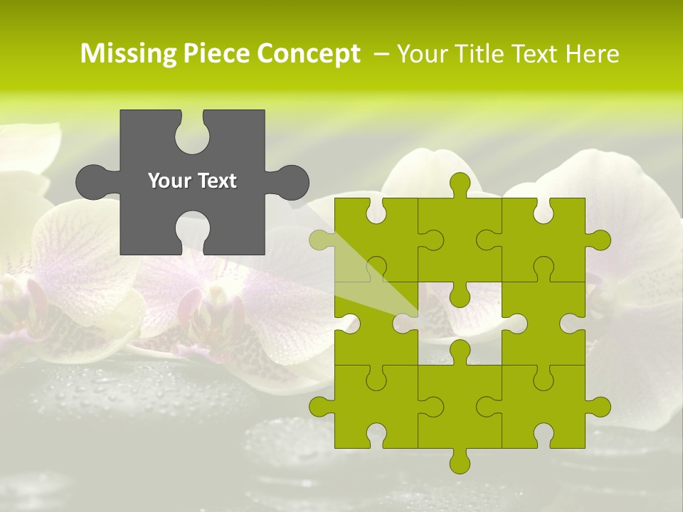 Stone Meditation Petal PowerPoint Template