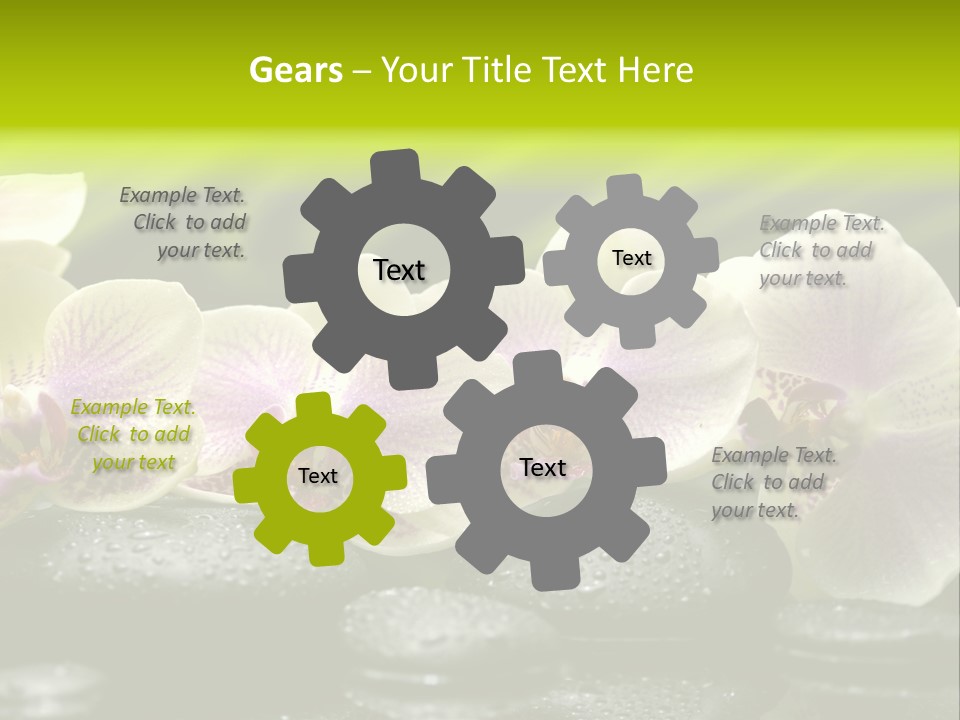 Stone Meditation Petal PowerPoint Template